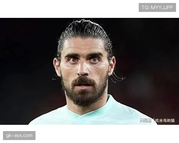 内维斯：从英冠冠军队长到英超核心的带队历程解析