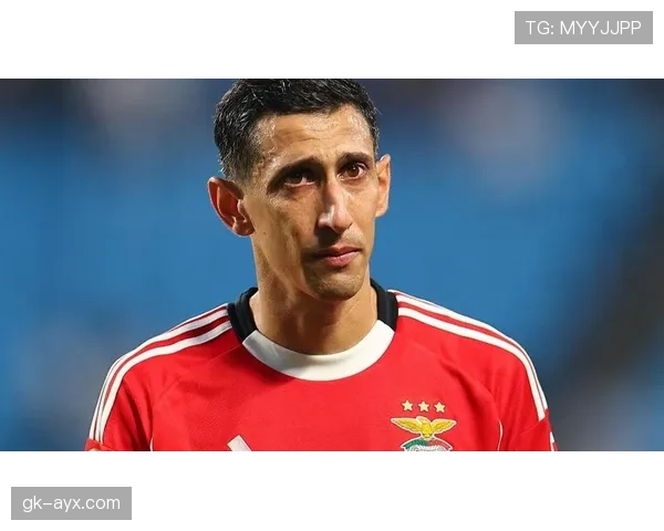 迪马利亚重返本菲卡：生涯回归解析